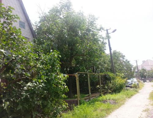 Sell house. Киевская обл., садовая — photo 3