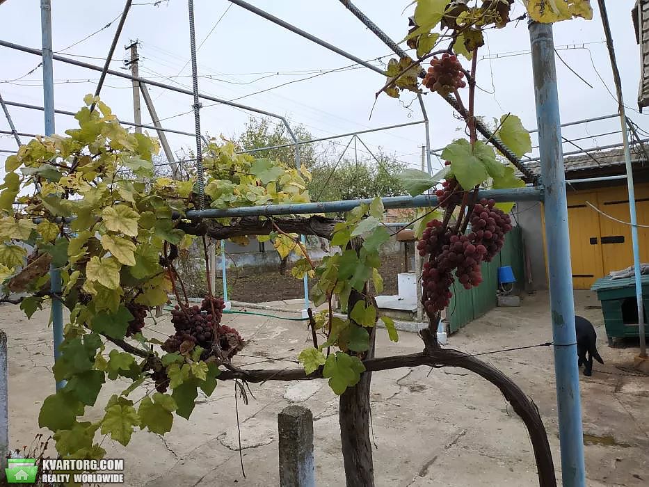 Sell house. Одесса, Мира — photo 2