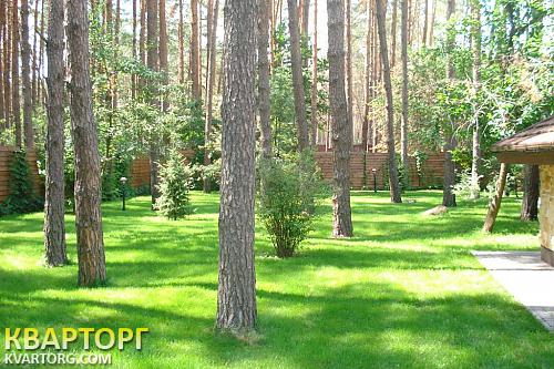 Sell house. Киевская обл., Плюты — photo 6