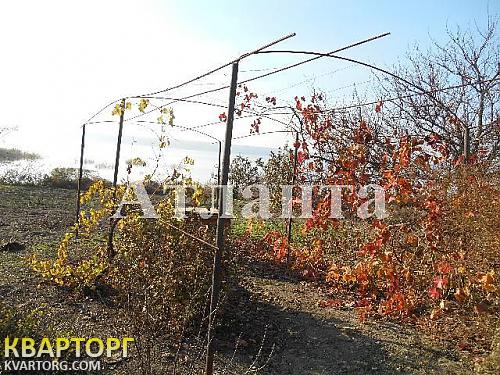 Sell house. Одесса, Приморская — photo 4