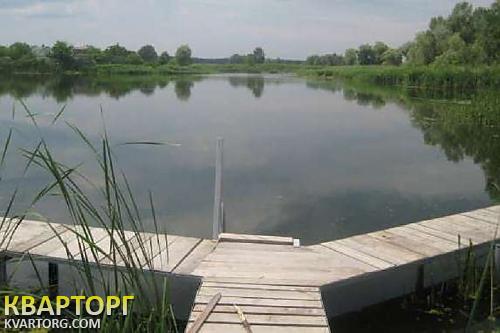 Rent out house. Черкассы, с. Лозивок — photo 4
