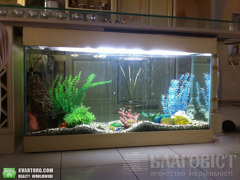 Sell 5-room apartment. Киев,  Лютеранская — photo 4