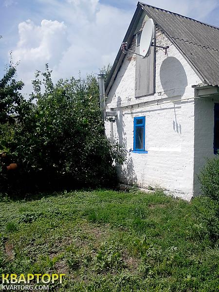 Sell house. Киевская обл., Киевская — photo 6
