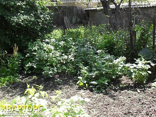 Sell house. Одесса, Дорожная — photo 3