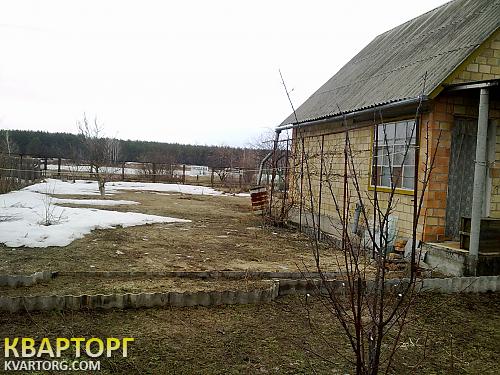 Sell house. Киевская обл., Прибрежная — photo 3