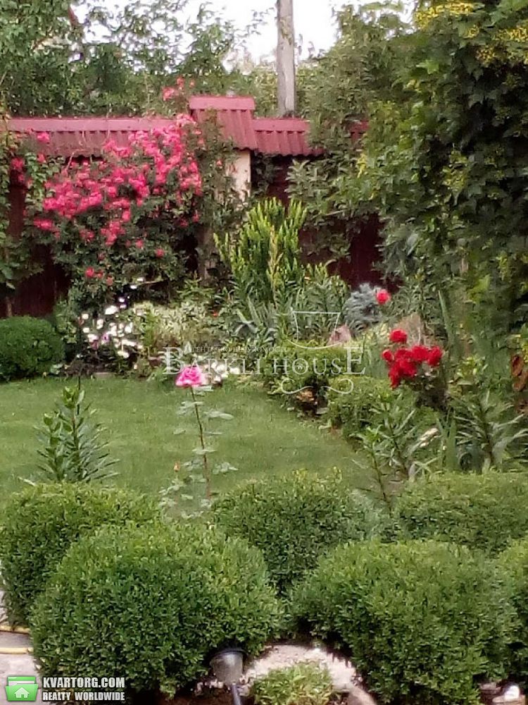 Rent out house. Киевская обл., Николаевка — photo 10