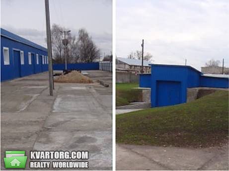 Rent out warehouse. Борисполь, Радгоспна — photo 2