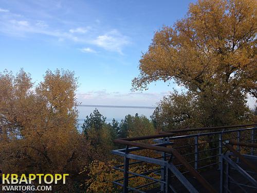 Sell house. Киевская обл., Новые Петровцы — photo 3