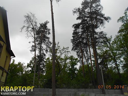 Sell house. Ирпень, Горького — photo 3