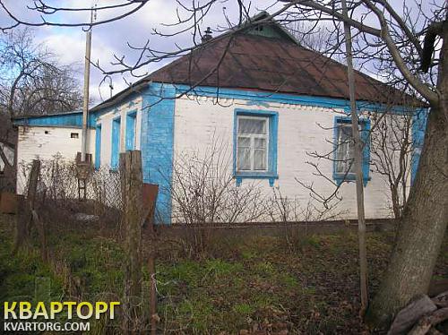 Sell house. Киевская обл., Плесецкое — photo 1