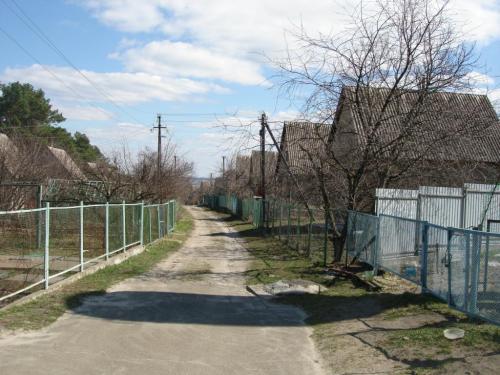 Sell house. Киевская обл., петривци — photo 5