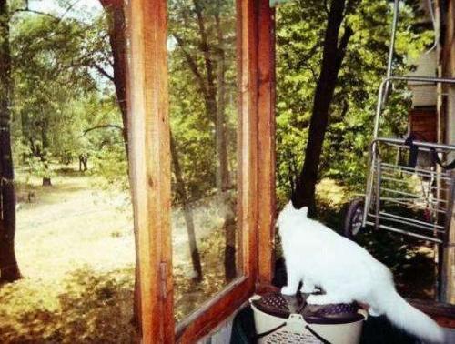 Sell 2-room apartment. Киев, Кибальчича Николая — photo 4