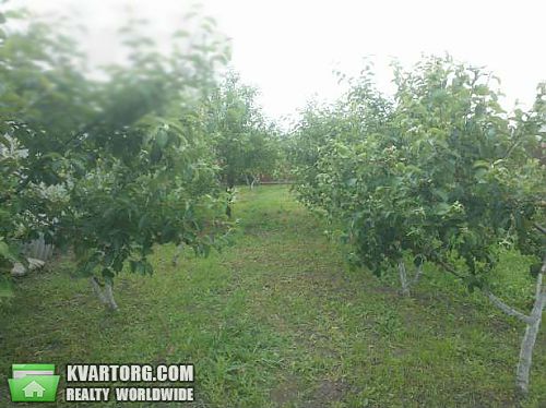 Sell house. Киевская обл., Центральная — photo 6