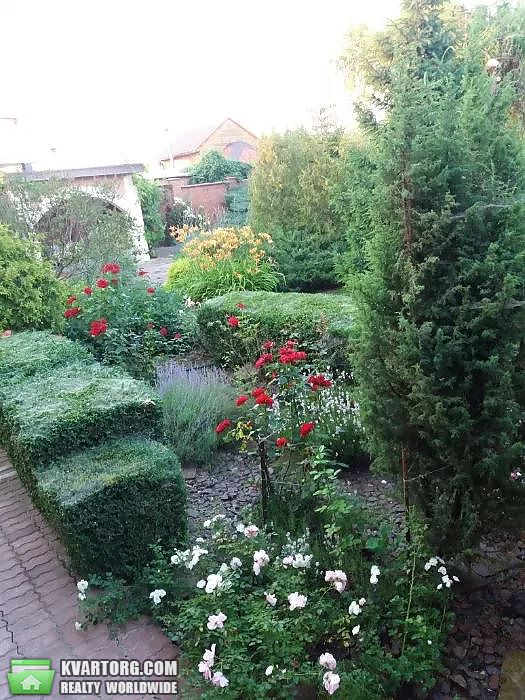 Sell house. Киевская обл., Солнечный — photo 4