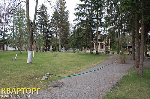 Sell house. Киевская обл., Летки — photo 2