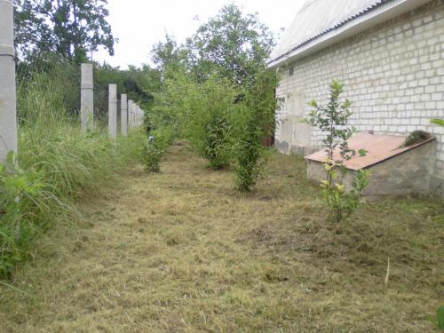 Sell house. Киевская обл., Ленинская — photo 5