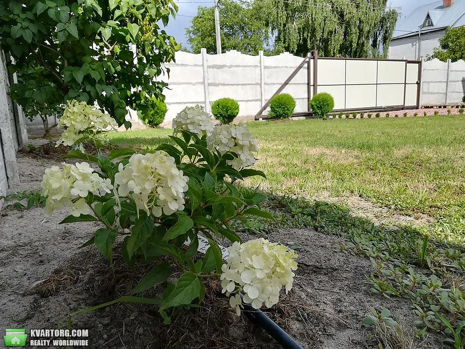 Sell house. Киевская обл., Мазепы — photo 7