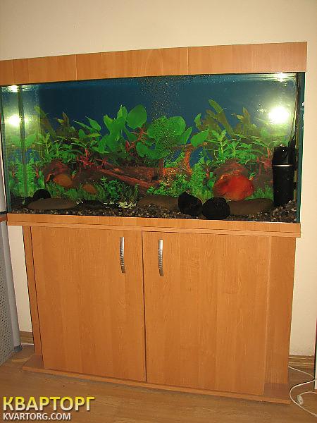 Rent out office. Киевская обл., Крещатик — photo 3