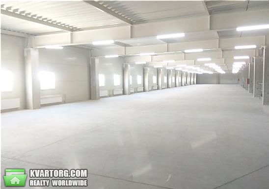 Rent out warehouse. Киевская обл., Киевская — photo 3