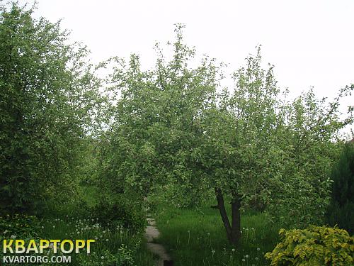 Sell house. Киевская обл., Шевченка — photo 5