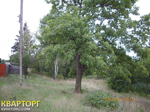 Sell house. Киевская обл., Киевская — photo 3