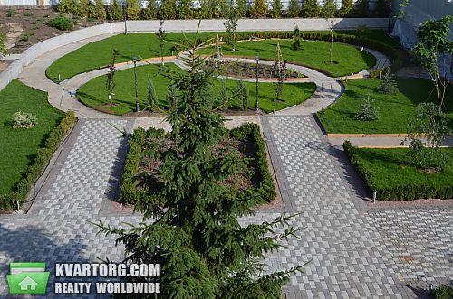 Rent out house. Киевская обл., Рожевка — photo 4