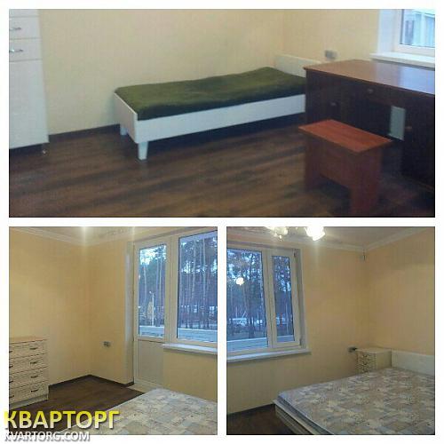 Rent out house. Киевская обл., карла маркса — photo 2