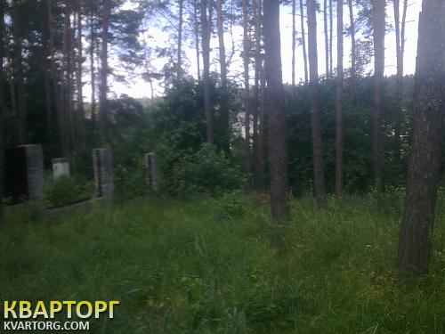 Sell house. Васильков, Малютянка — photo 9