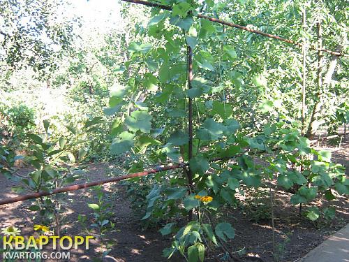 Sell house. Одесса, с. Светлое / СО "Степовое — photo 8