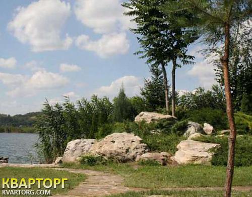 Rent out house. Киевская обл., Романков — photo 5