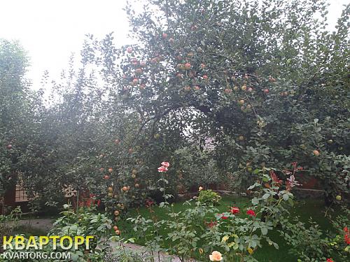 Rent out house. Киевская обл.,  Садовая — photo 2
