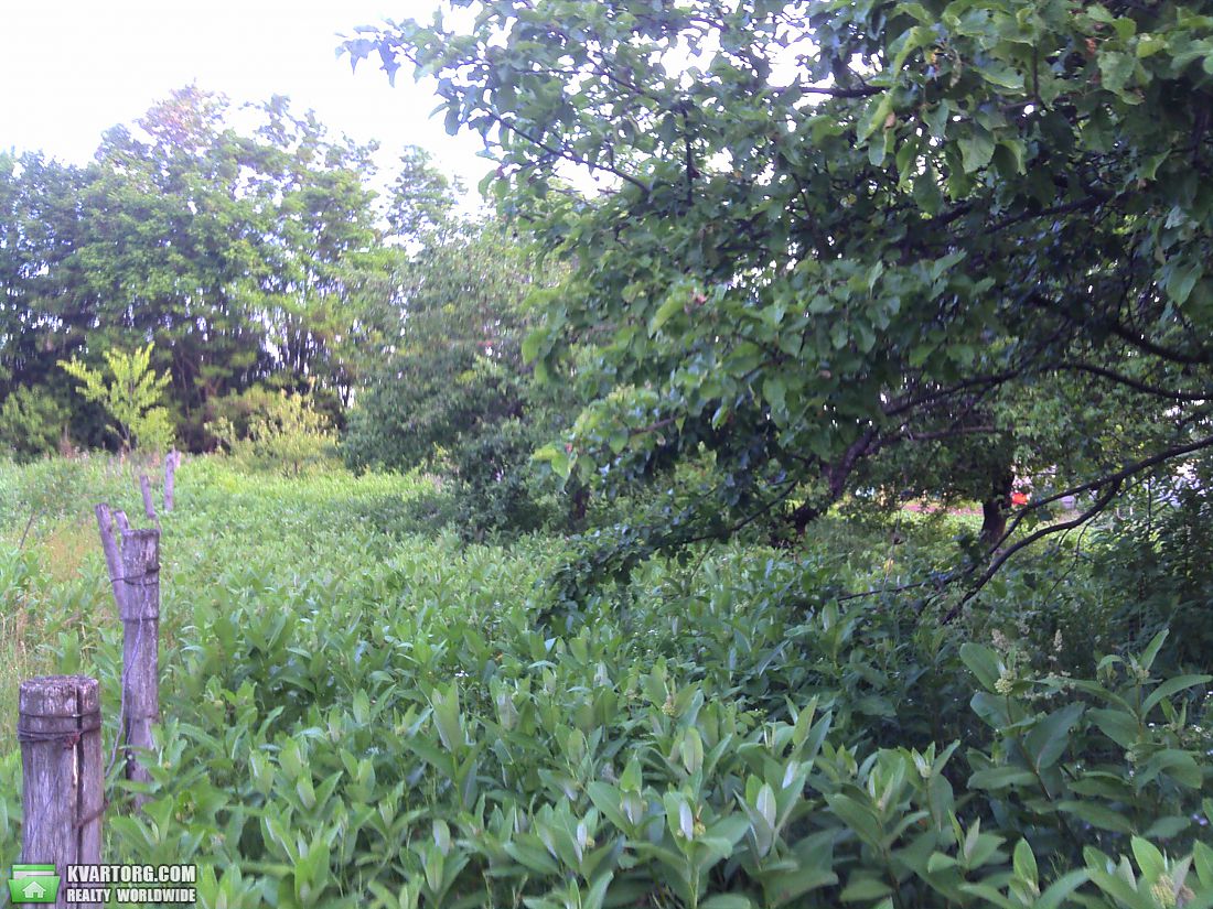 Sell house. Киевская обл.,  Подлесная — photo 4