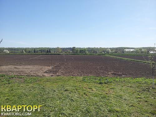 Sell house. Киевская обл., Днепровой Чайки — photo 4