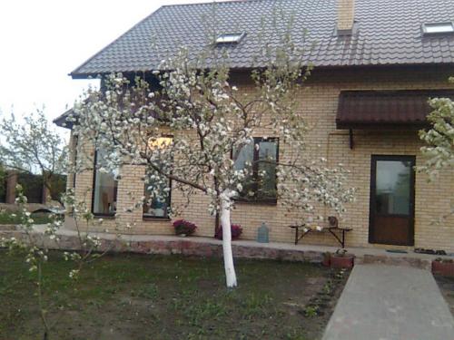 Sell house. Киевская обл., Крячки — photo 1