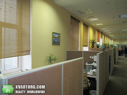 Rent out office. Киев, Победы пр — photo 5