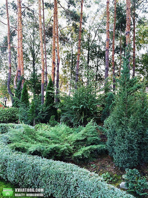 Sell house. Обухов, Солнечная долина — photo 8