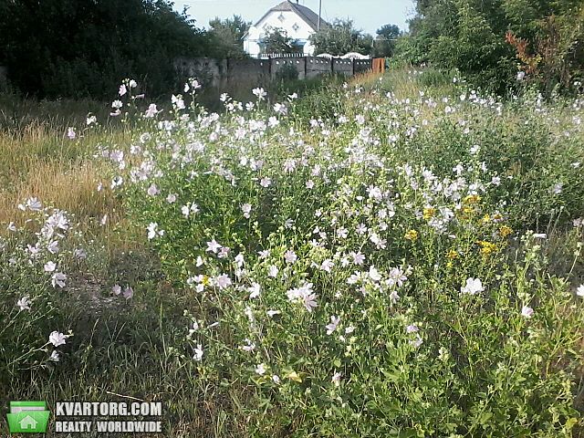 Sell house. Киевская обл., Ковалевка с. — photo 4