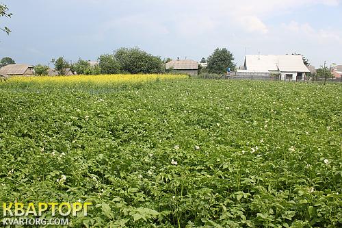 Sell house. Киевская обл., Ленина — photo 6