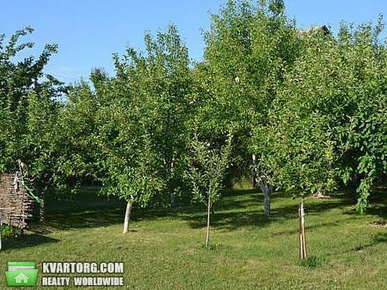 Sell house. Киевская обл., Белогородская — photo 4