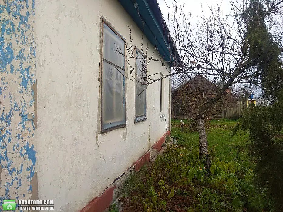 Sell house. Киевская обл., с.Летки — photo 4