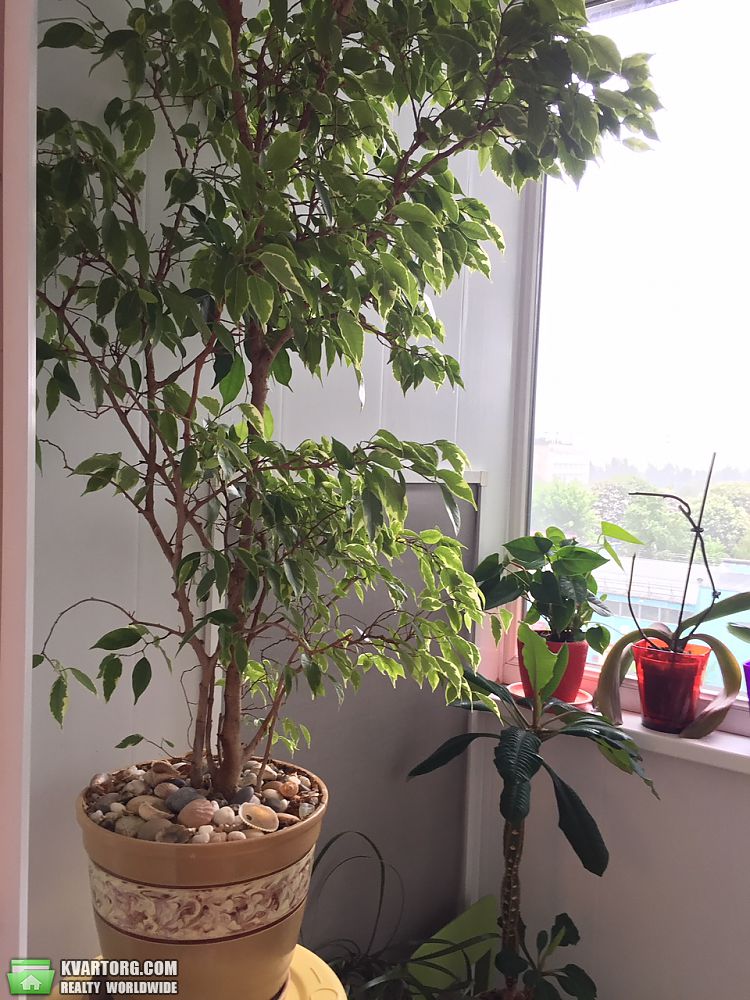 Sell 3-room apartment. Киев,  Автозаводская — photo 7