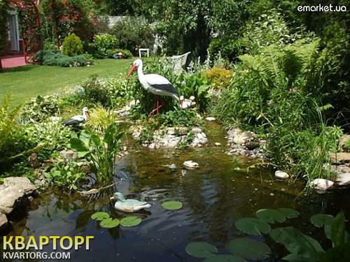 Sell house. Киевская обл., Петропавловская Борщаговк — photo 4