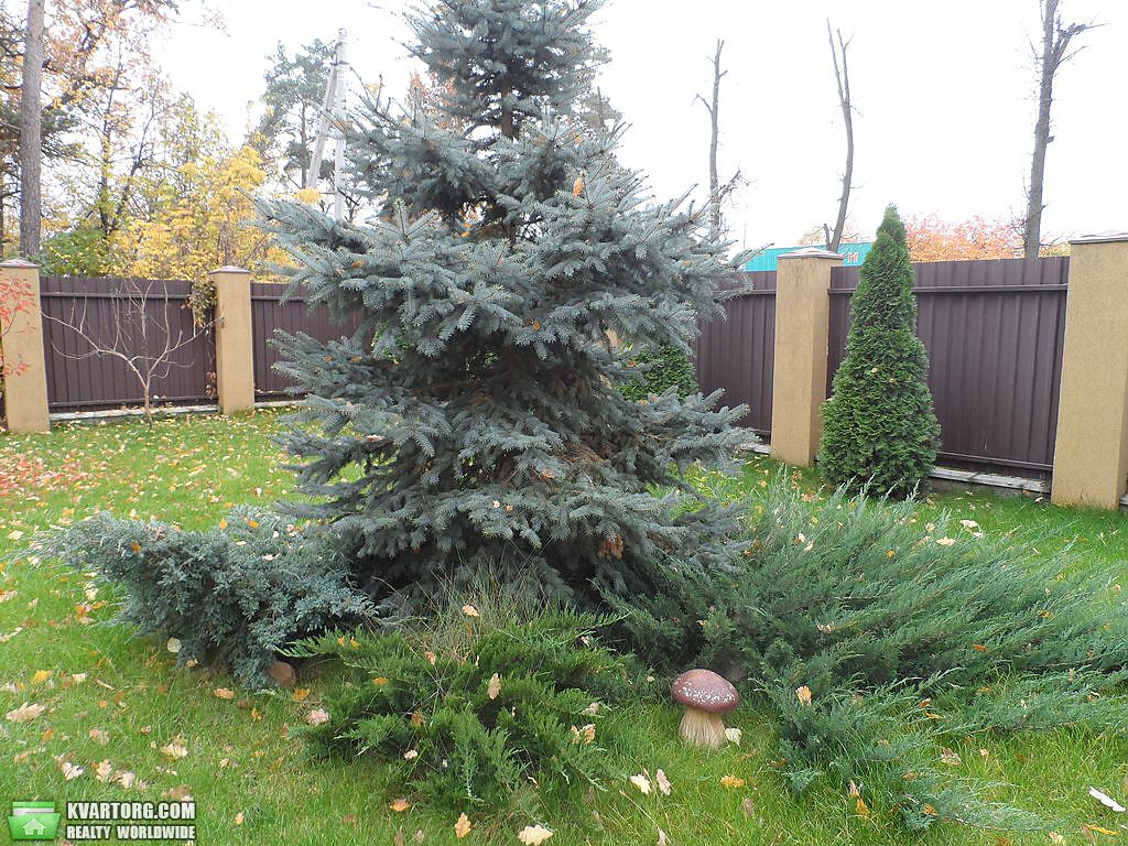 Sell house. Ирпень, Соборная — photo 5