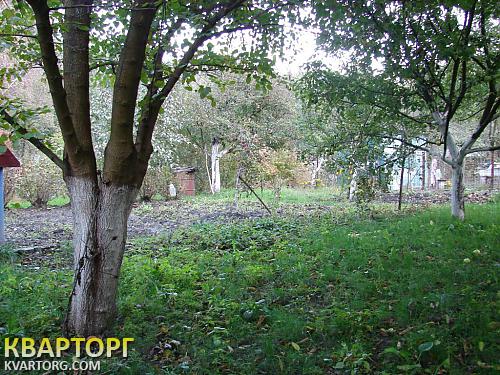Sell house. Киевская обл., нет — photo 5