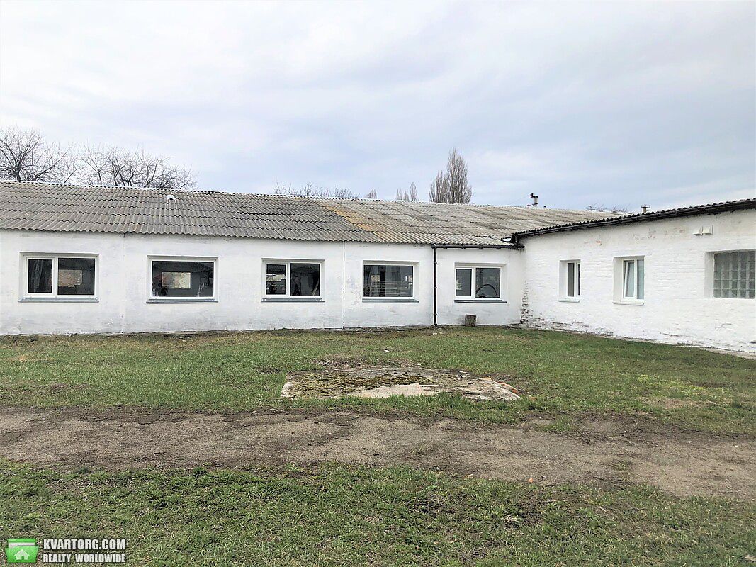 Sell house. Киевская обл., Стави — photo 6