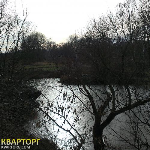 Sell house. Киевская обл., Гризодубова — photo 7