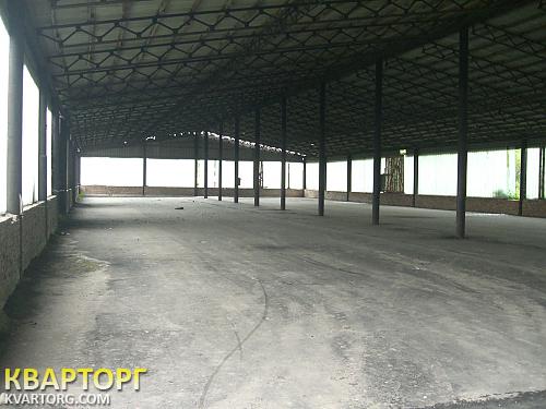 Sell warehouse. Киевская обл., Ерков — photo 9