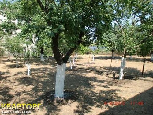 Sell house. Одесса, Великодолинское — photo 3