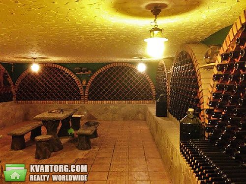 Rent out house. Киевская обл., Новые Безрадичи — photo 10