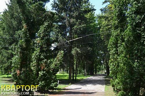 Sell house. Киевская обл., Летки — photo 6